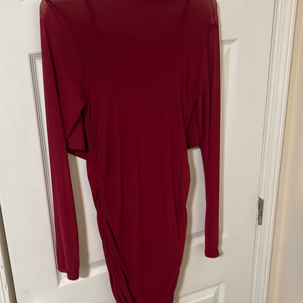 Sheer burgundy dress